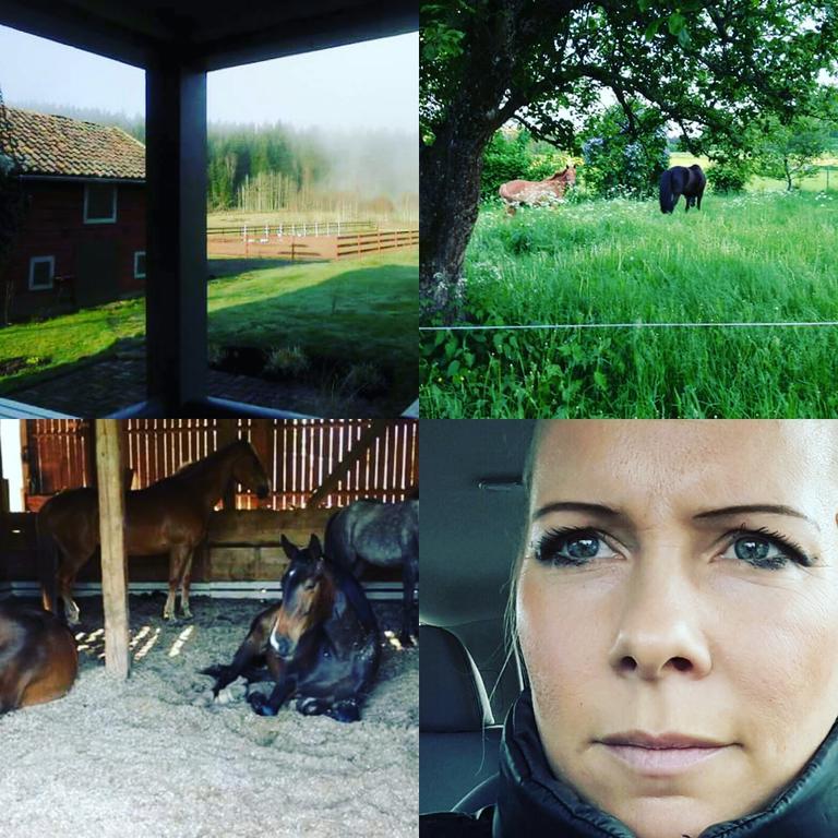 Bjaerkeryd Soedergard Bed & Stable Kisa Exterior foto